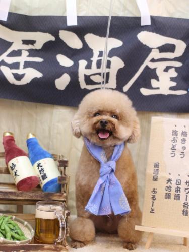 20240619ピノくん